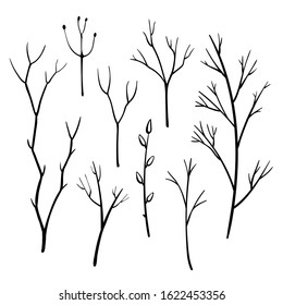 Set of doodle branches and twigs in sketchy style isolated on white background. Hand drawn design elements. Vector illustration