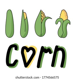 Set of doodle colored illustration corn, green and yellow hand draw vector illustration and the inscription corn for design and creativity