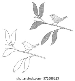 Set of doodle coloring book with a bird on a branch isolated on white. The bird called Japanese Robin.