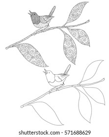 Set of doodle coloring book with a bird on a branch isolated on white. The bird called Japanese Robin.