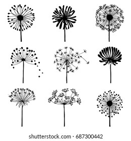 Set of doodle dandelions. Decorative Elements for design, dandelions flowers blooming.
