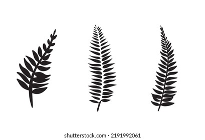 set of doodle fern leaves