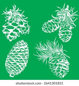 set doodle of fir tree cones isolated on green background. Conifer cones sketch. Vector illustration. Design for print, banner, greeting card, logo, invitation