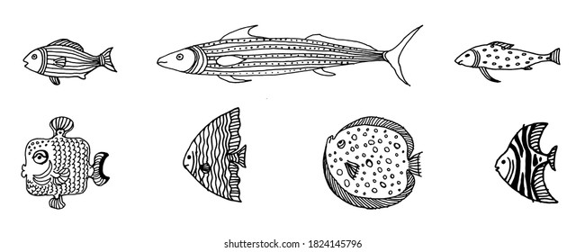 Set of doodle fish. Coloring pages for adults or children. Line vector illustration isolated on white background.