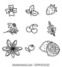 set doodle flavors tea. Illustrations of various natural additives. Lemon, cherry, chamomile, blueberry, jasmine. Flowers, berries, leaves. Ideal for health-focused brands, shops, wellness content.