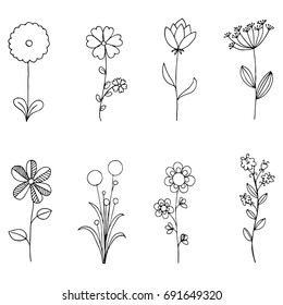Set of doodle flora, Wild and Nature flowers on white background illustration.