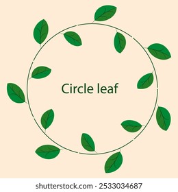 Set of doodle floral,line and leaf circle frames.illustration vector logo for nature flowers