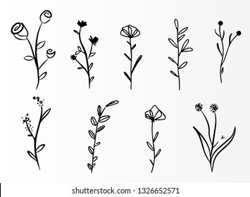 Set doodle florals illustration vector drawing flowers
