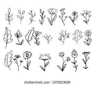 Set doodle florals illustration vector drawing flowers