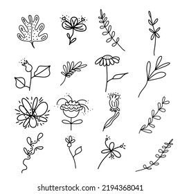 Set of doodle flower and leaves elements for print, pattern, decoration