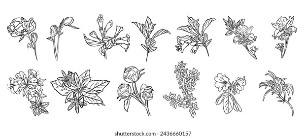 Set Doodle Blumen Handzeichnung Schwarz-Weiß Illustration
