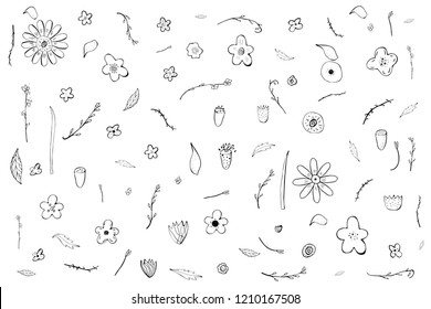 Set of doodle flowers and leaves composition.  Hand drawn style.  Vector ilustration.