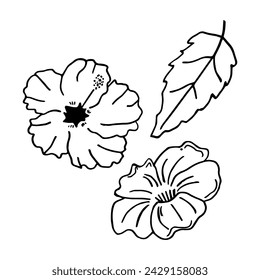 Set of doodle flowers on isolated background.Hibiscus flowers.Vector design.