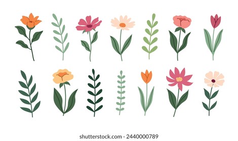 Set of doodle flowers. Spring-summer botanical illustration