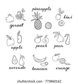 Conjunto de íconos de frutas de Doodle. 