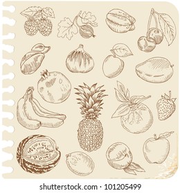 Set of Doodle Fruits - for scrapbook or design - hand drawn in vector