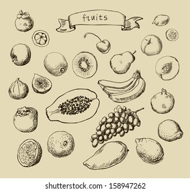 Set of Doodle Fruits - for scrapbook or design - hand drawn in vector