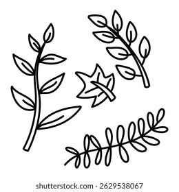 set doodle garden branches and a maple leaf. Various branches, leaves. Contour monochrome isolated illustration. Greenery in the garden. Suitable for decorating children's and nature projects, prints