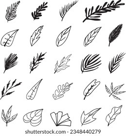 set of doodle hand draw leaf collection