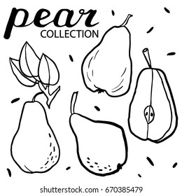 Set of doodle hand drawn pears. Sketched abstract food illustration. Design artistic elements for card, print, template for menu. Vegan, farm, natural food illustration