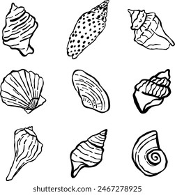 Set of doodle hand drawn seashells collection