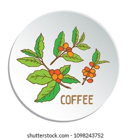 Set of doodle hand drawn sketches, coffee branches isolated on white background. Design elements for cafe menu, stickers and magnets.