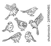 set of doodle hand-drawn small birds. Outline isolated collection. Animals, bird black outline. Collection of sparrows and tits in different poses for coloring, packing stickers, decorating nature.