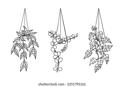 Set of doodle hanging house plants in pots isolated on white background. Hand-drawn vector illustration of indoor plants for label, wrapping and other botanical design.