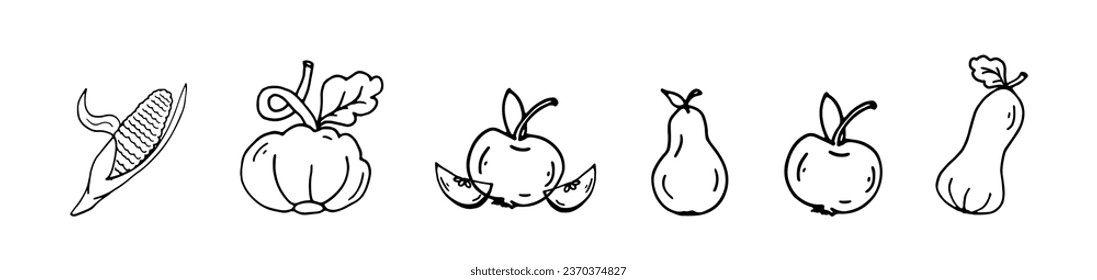 Set doodle harvest vegetables corn, pumpkin, apple, pear. Vector Black hand drawing autumn fruits. Counter vector illustration for natural and organic designs, icon, web elements, card, pattern.