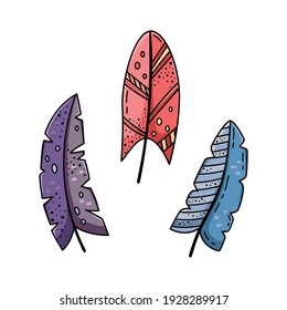 A set of doodle illustrations of bright cartoon feathers. A set of elements for the design.