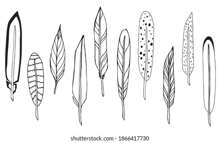 Set of doodle illustrations of various feathers. Vector hand drawn illustration isolated on a white background