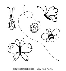 Set of doodle insects. Animal vector collection with bee, butterfly, ladybug and beetle. Hand drawn illustration Entomology, Myriapoda in monochrome black and white colors. Outline element