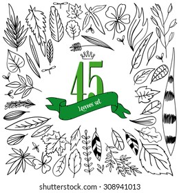 Set doodle leaves. Contains various leaves of oak, birch, maple, linden, seed, ficus, lily of the valley and others. There are ribbons for inscriptions. Background white.