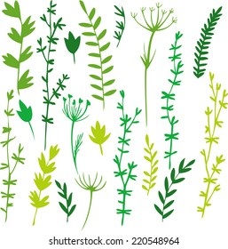 set of doodle leaves and grass, hand drawn vector illustration