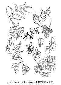 Set of Doodle Leaves hand draw vector