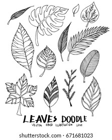 Set of Doodle Leaves Sketch line vector illustration