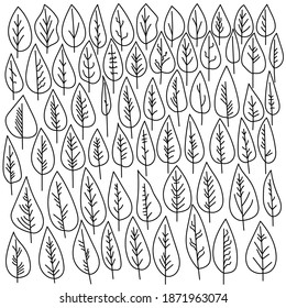 A set of doodle leaves with a wide leaf blade and various venation options, fantasy leaves, parts of a plant in the form of contours vector illustration