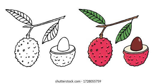 Set of doodle lychee fruit related outline icons. Hand drawn vector stock illustrations included half and whole part of fruit icons. Black graphic, isolated on white background.