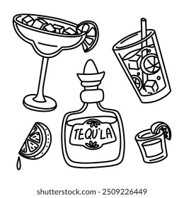 a set of doodle Margarita cocktails, Mojito in a glass, a bottle of tequila with a shot glass. a slice of lemon, lime, hand-drawn, with ice cubes. Contour vector illustration. alcoholic beverages