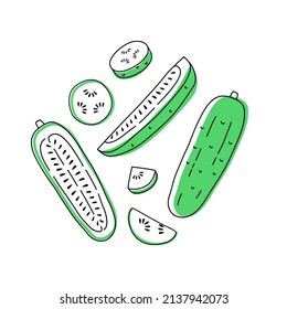 Set of doodle outline cucumber with spots. Whole, pieces, and leaves. Vector illustration for packing