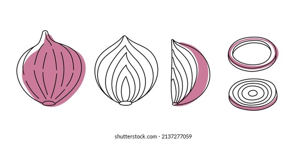 Set of doodle outline onion with spots. Whole and pieces. Vector illustration for packing