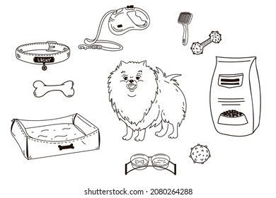 Set doodle pet shop icons. dog, breed Pomeranian. Accessories for dogs. Flat vector illustration. Feed, toys, balls, collar. Vector illustration black isolated on white background cartoon contour line