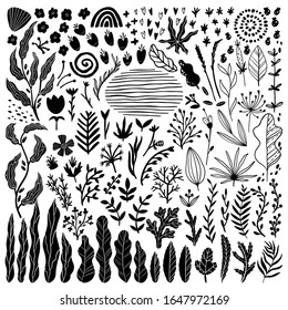 Set von Doodle-Pflanzenelementen. Zweige, Blumen, Kräuter mit Blättern und anderen Formen. Vektorillustration Skizze handgezeichnet Illustration für Ihr Design. Schwarze Silhouetten einzeln auf weißem Hintergrund.