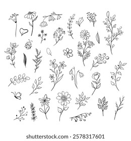 Conjunto de plantas de doodle. Ilustração desenhada à mão em cores preto e branco monocromáticas. Coleção de vetor floral com flores e ramos em plano de fundo isolado Contorno elemento floral para ícone