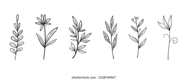 set of doodle plants on a white background. Vector branches and leaves on a white background. Hand drawn floral elements.