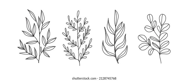 set of doodle plants on a white background. Vector branches and leaves on a white background. Hand drawn floral elements.