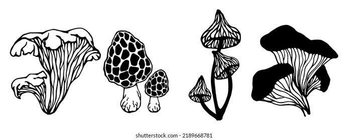 Set of doodle poisonous mushrooms.Vector graphics.