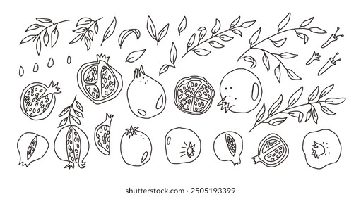 Conjunto de granadas doodle. Vector dibujado a mano en blanco y negro frutas maduras y hojas ilustración de colección aislada sobre fondo blanco.