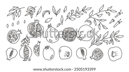 Set of doodle pomegranates. Vector hand drawn black and white ripe fruits and leaves collection illustration isolated on white background.