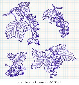 Set of doodle red and black currant